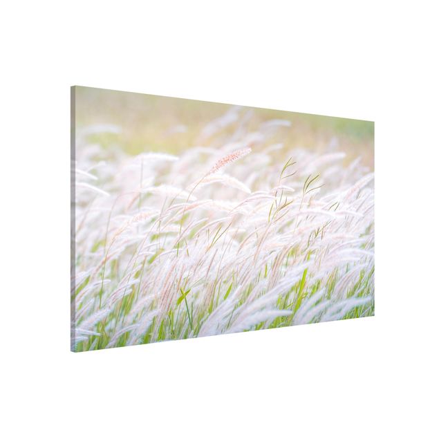 Kitchen Soft Grasses