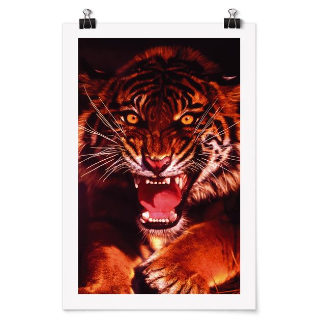 Contemporary art prints Wild Tiger