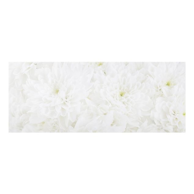 Glass splashback Dahlias Sea Of Flowers White