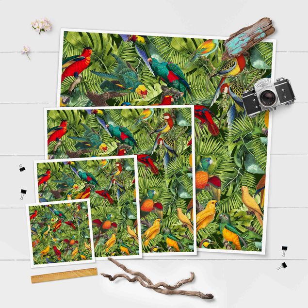 Prints Colourful Collage - Parrots In The Jungle