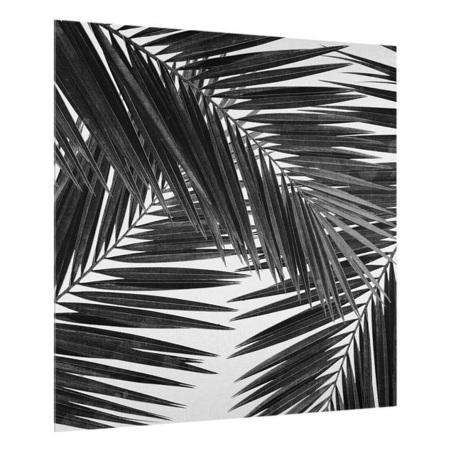 Glass art splashbacks View Through Palm Leaves Black And White