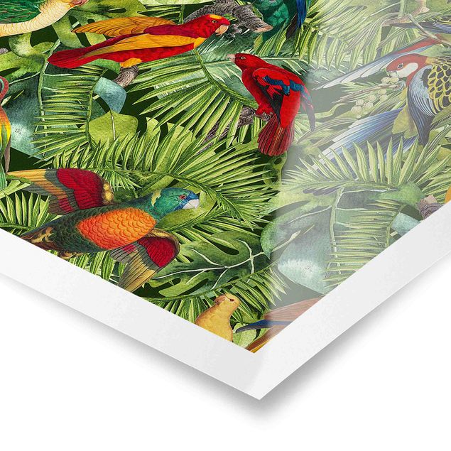 Prints multicoloured Colourful Collage - Parrots In The Jungle