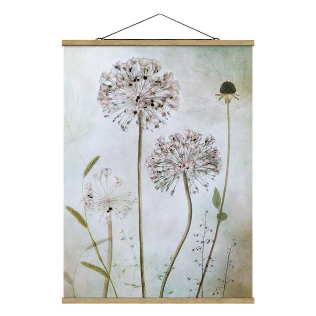Prints flower Allium flowers in pastel