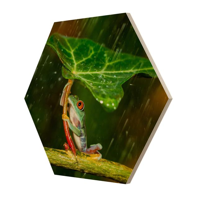 Wooden hexagon - Frog In The Rain