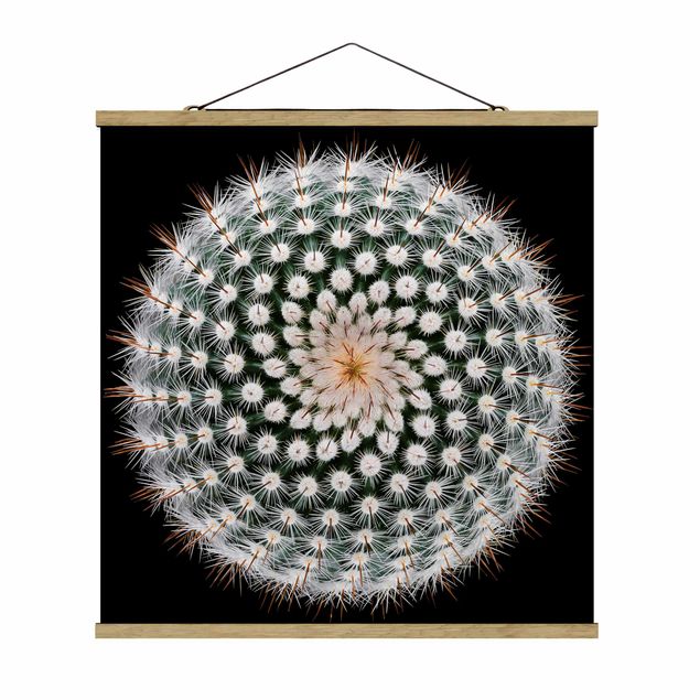 Prints modern Cactus Flower