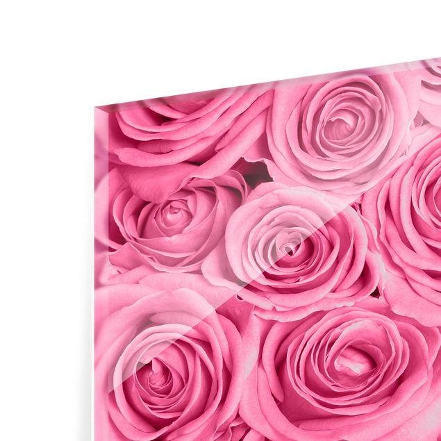 Glass Splashback - Pink Roses - Landscape 2:3
