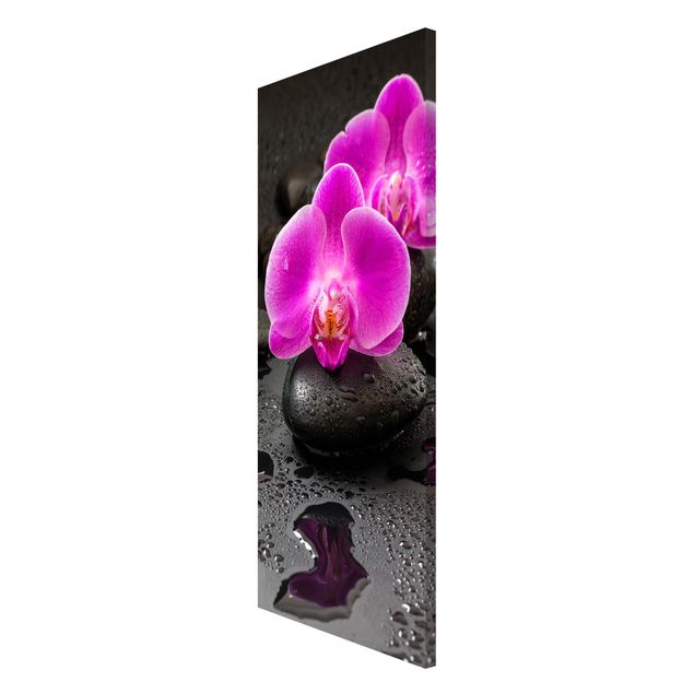 Magnet boards flower Pink Orchid Flower On Stones With Drops