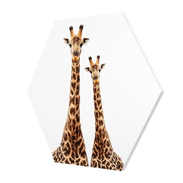 Prints Portait Of Two Giraffes