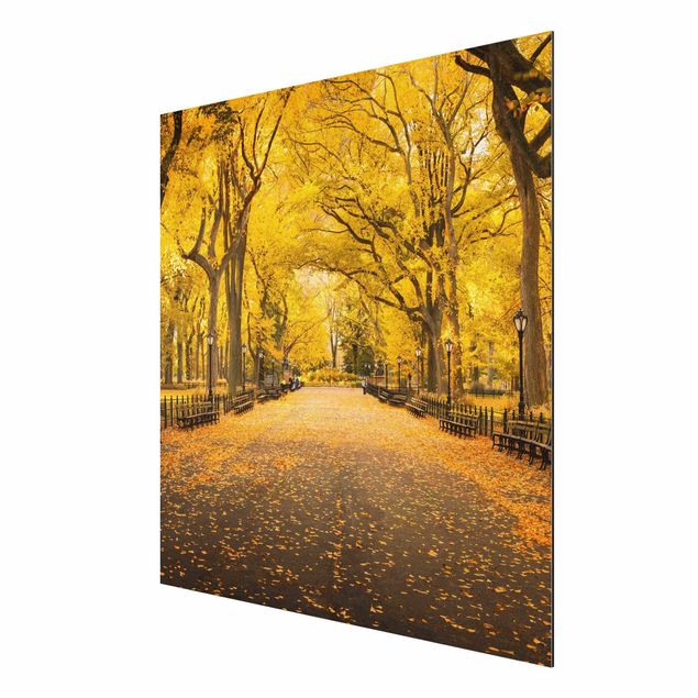 Prints modern Autumn In Central Park