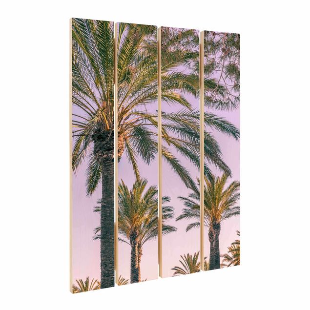 Prints Palm Trees At Sunset
