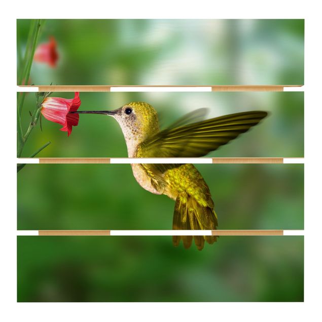 Wood prints Hummingbird And Flower