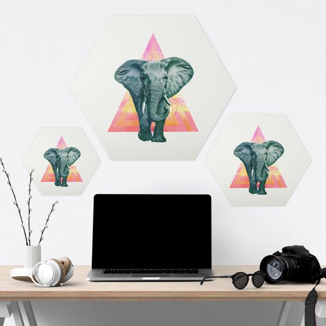 Hexagon shape pictures Illustration Elephant Front Triangle Painting