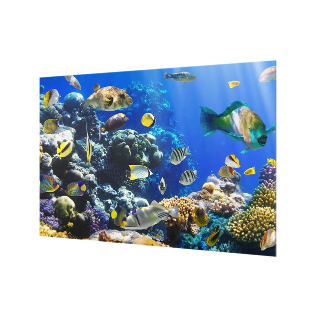 Glass splashback kitchen Underwater Reef