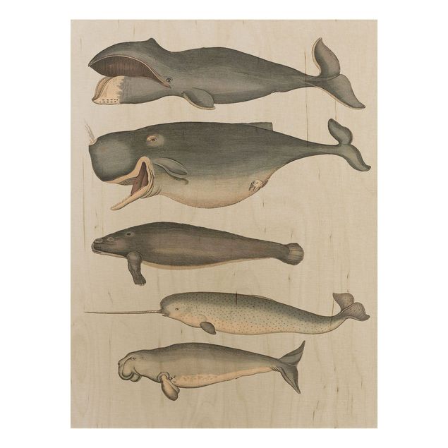 Wood prints vintage Five Vintage Whales