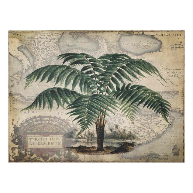 Landscape wall art Vintage Collage - Palm And World Map