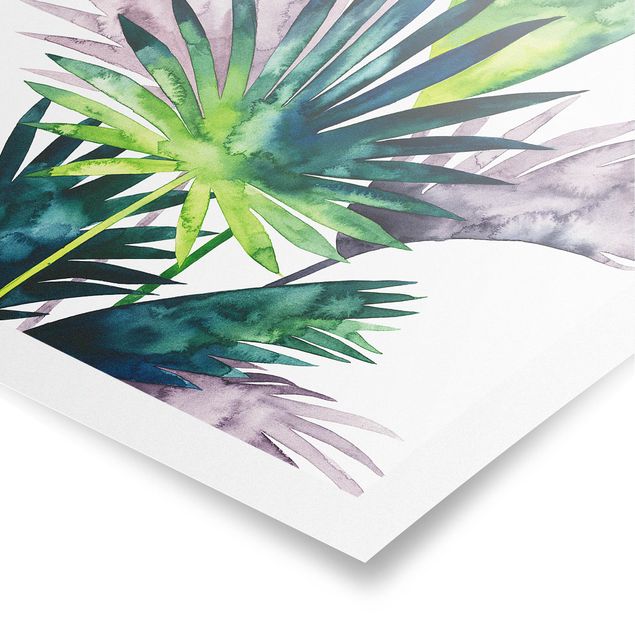 Prints modern Exotic Foliage - Fan Palm