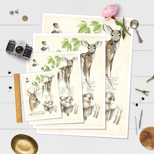 Poster print Wilderness Journal - Deer