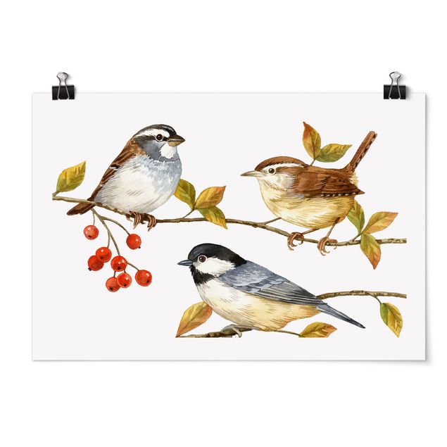 Retro wall art Birds And Berries - Tits