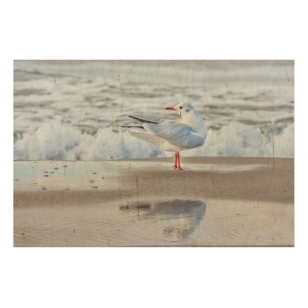 Wood prints landscape Seagull On The Beach In Front Of The Sea