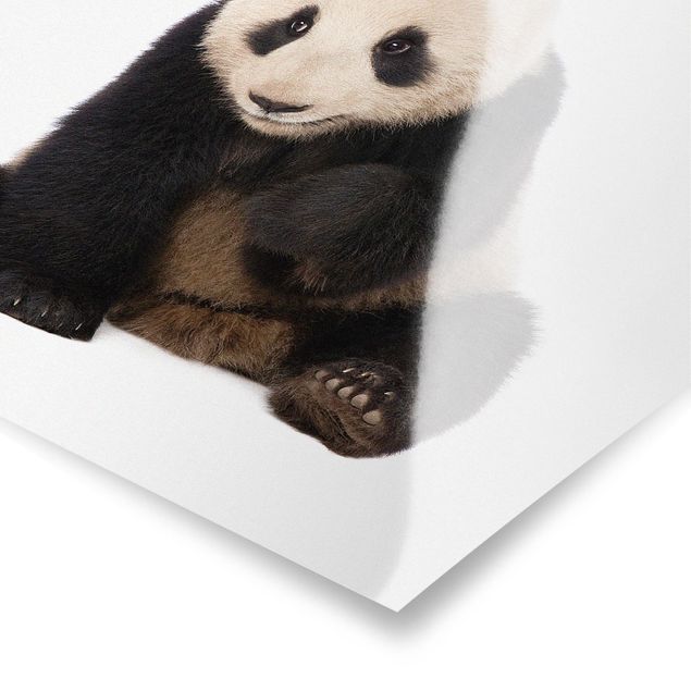 Prints modern Panda Paws