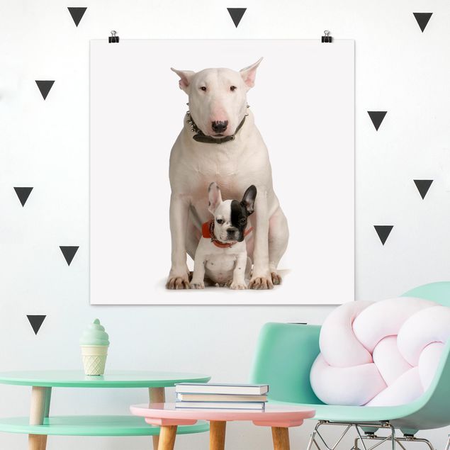 Dog canvas art Bull Terrier and Friend