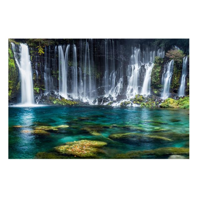 Landscape canvas prints Shiraito Waterfall
