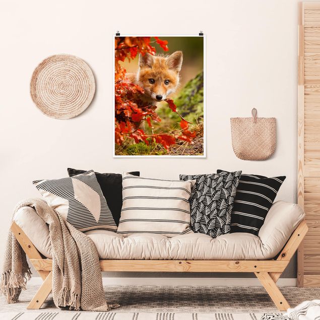 Landscape canvas prints Fox In Autumn