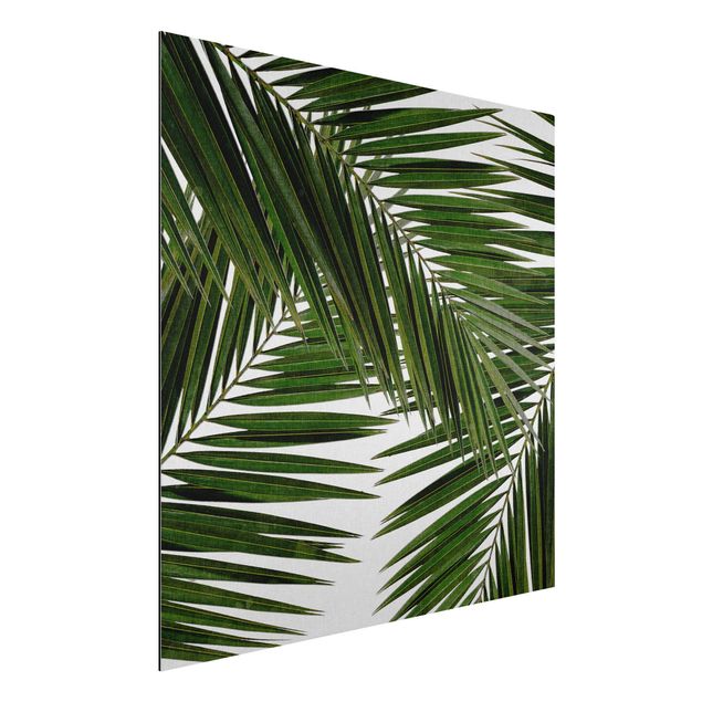 Kitchen View Through Green Palm Leaves