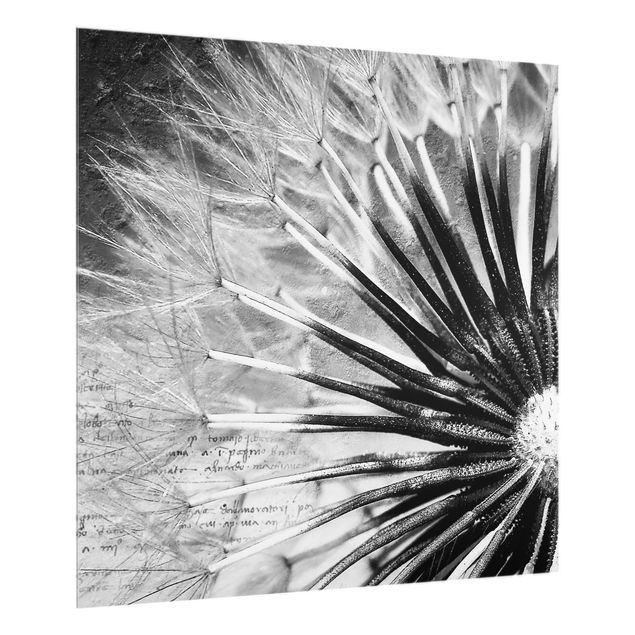 Glass splashbacks Dandelion Black & White