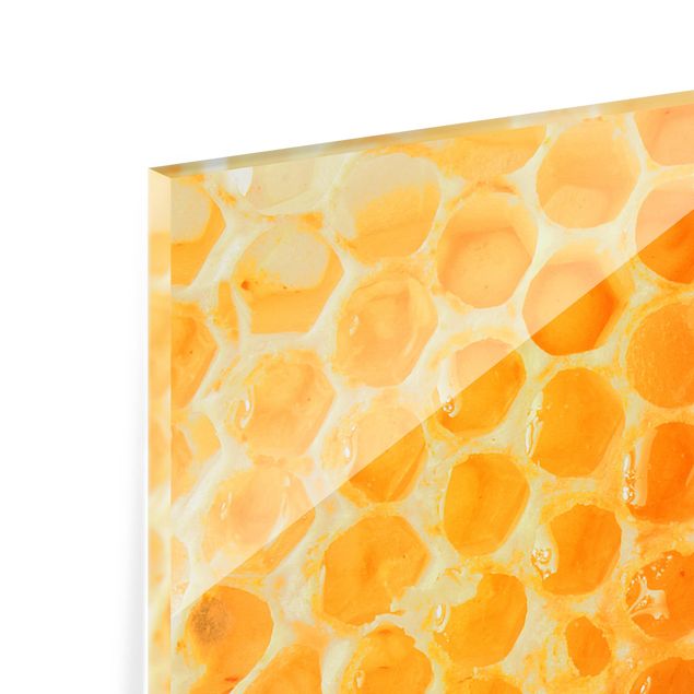 Glass Splashback - Honey Bee - Panoramic