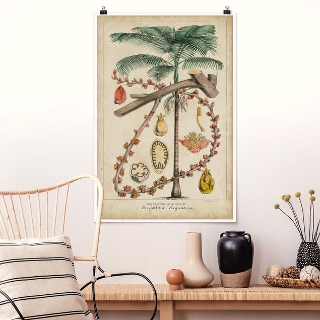 Kitchen Vintage Board Exotic Palms II