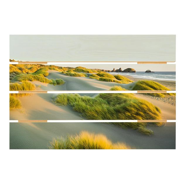 Wood prints beach Dunes And Grasses At The Sea