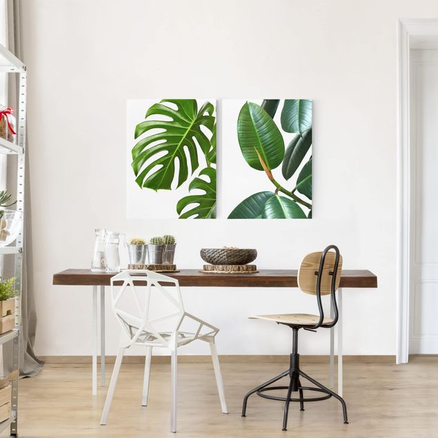 Floral picture Monstera And Rubber Tree