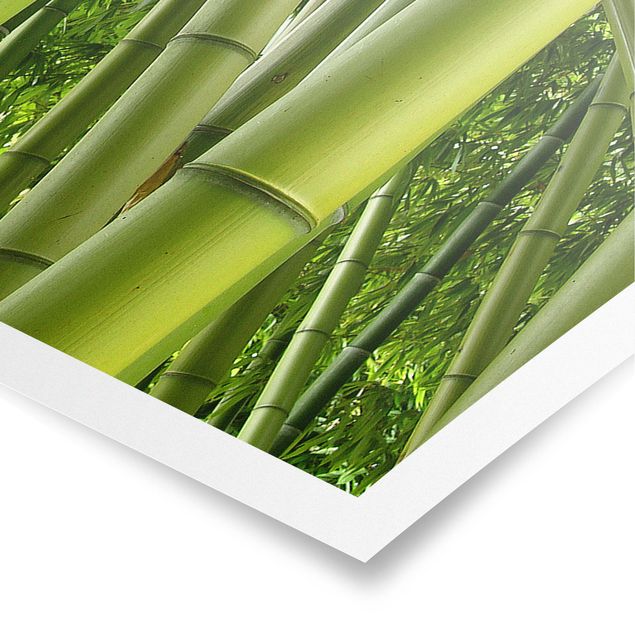 Modern art prints Bamboo Trees