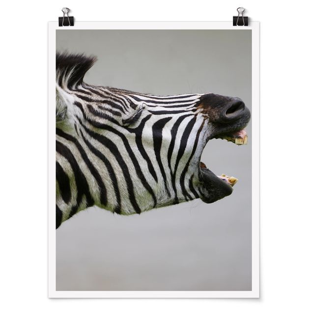 Modern art prints Roaring Zebra