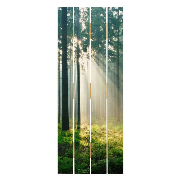 Wood prints Enlightened Forest