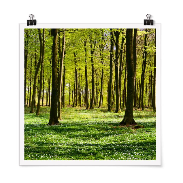 Trees on canvas Forest Meadow
