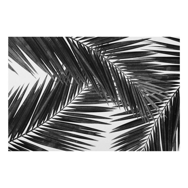 Glass splashback landscape View Over Palm Leaves Black And White