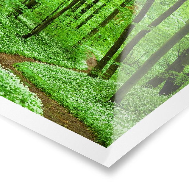 Nature wall art Romantic Forest Track