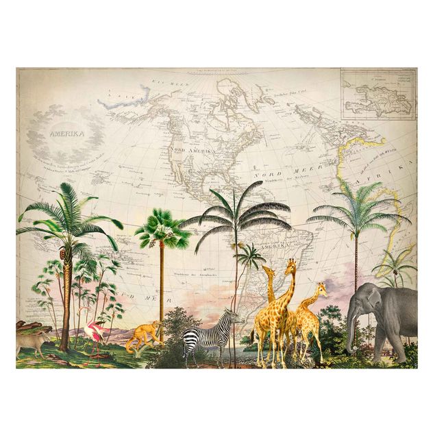 Magnet boards flower Vintage Collage - Wildlife On World Map