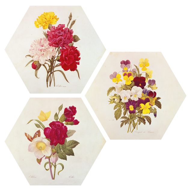 Vintage posters Pierre Joseph Redouté - Roses Cloves Pansies