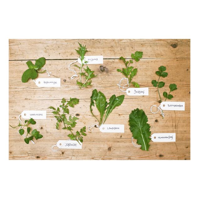Glass splashback kitchen Herbs With Labeling