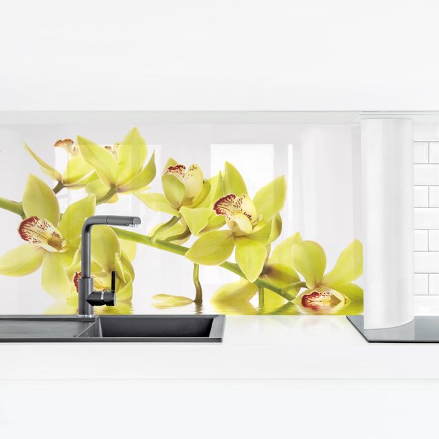 Kitchen splashbacks Elegant Orchid Waters