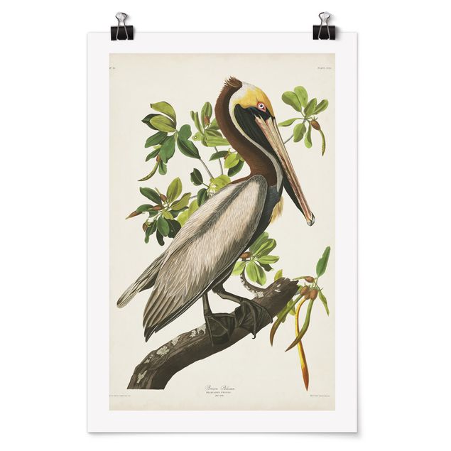 Retro prints Vintage Board Brown Pelican