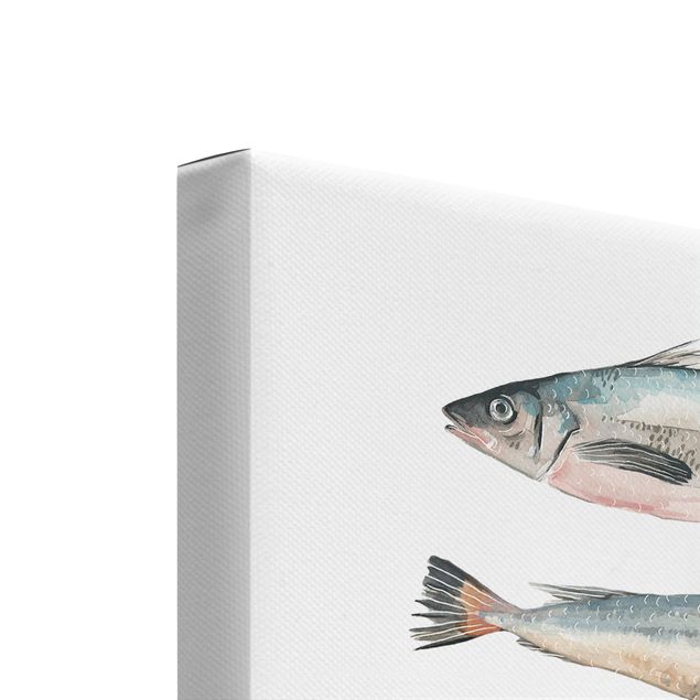 Prints Fish In Watercolour Set I