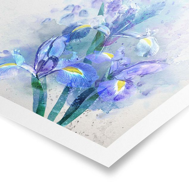 Contemporary art prints Watercolour Flowers Iris