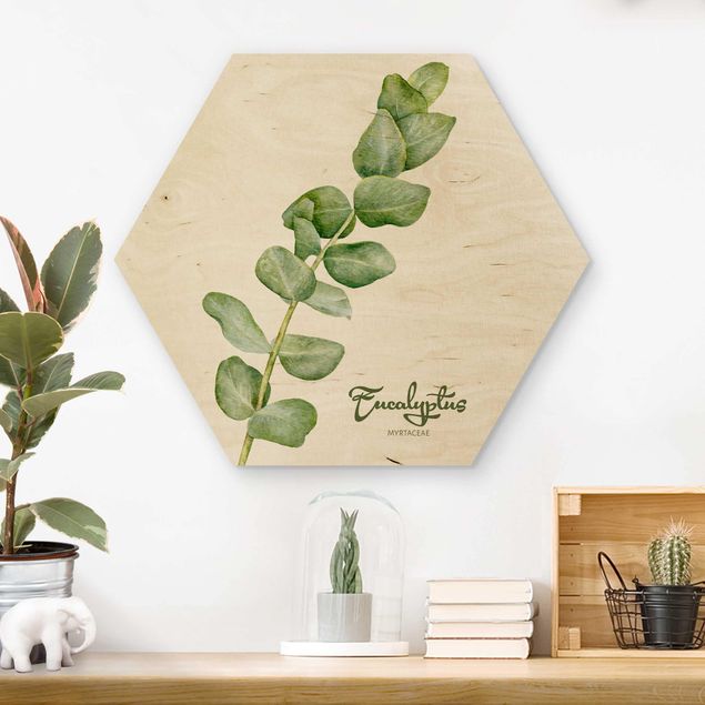 Wood prints flower Watercolour Botany Eucalyptus