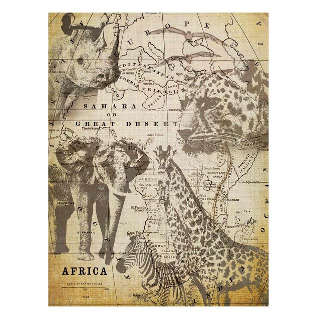 Magnet boards maps Vintage Collage - Africa Wildlife