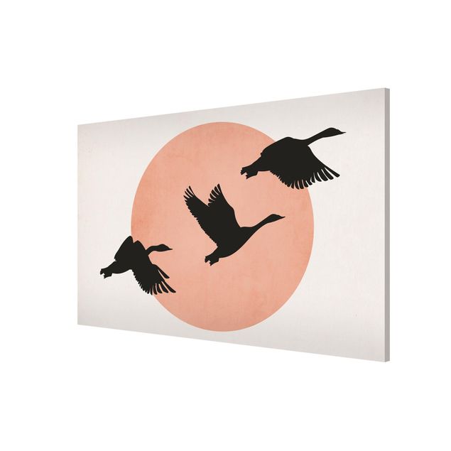 Magnet boards animals Birds In Front Of Rose Sun III