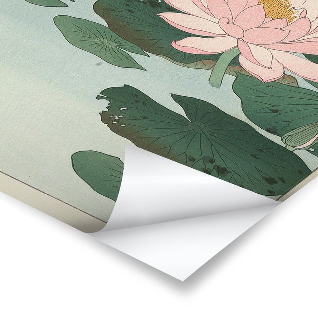 Prints Ohara Shôson - Water Lilies